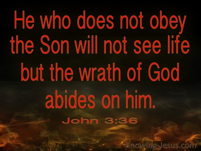 John 3:36 He Who Believes Has Eternal Life (red)